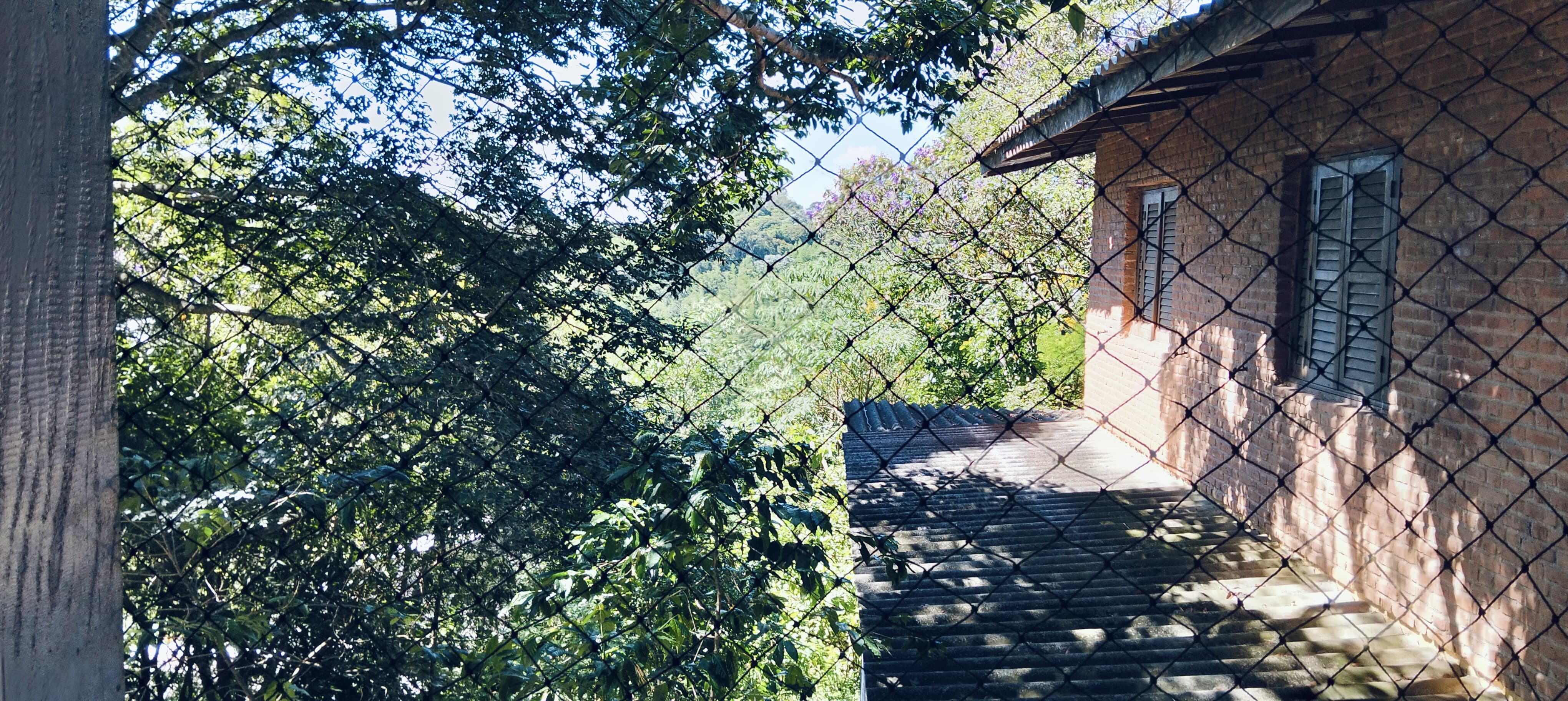 Fazenda à venda com 7 quartos, 500m² - Foto 2