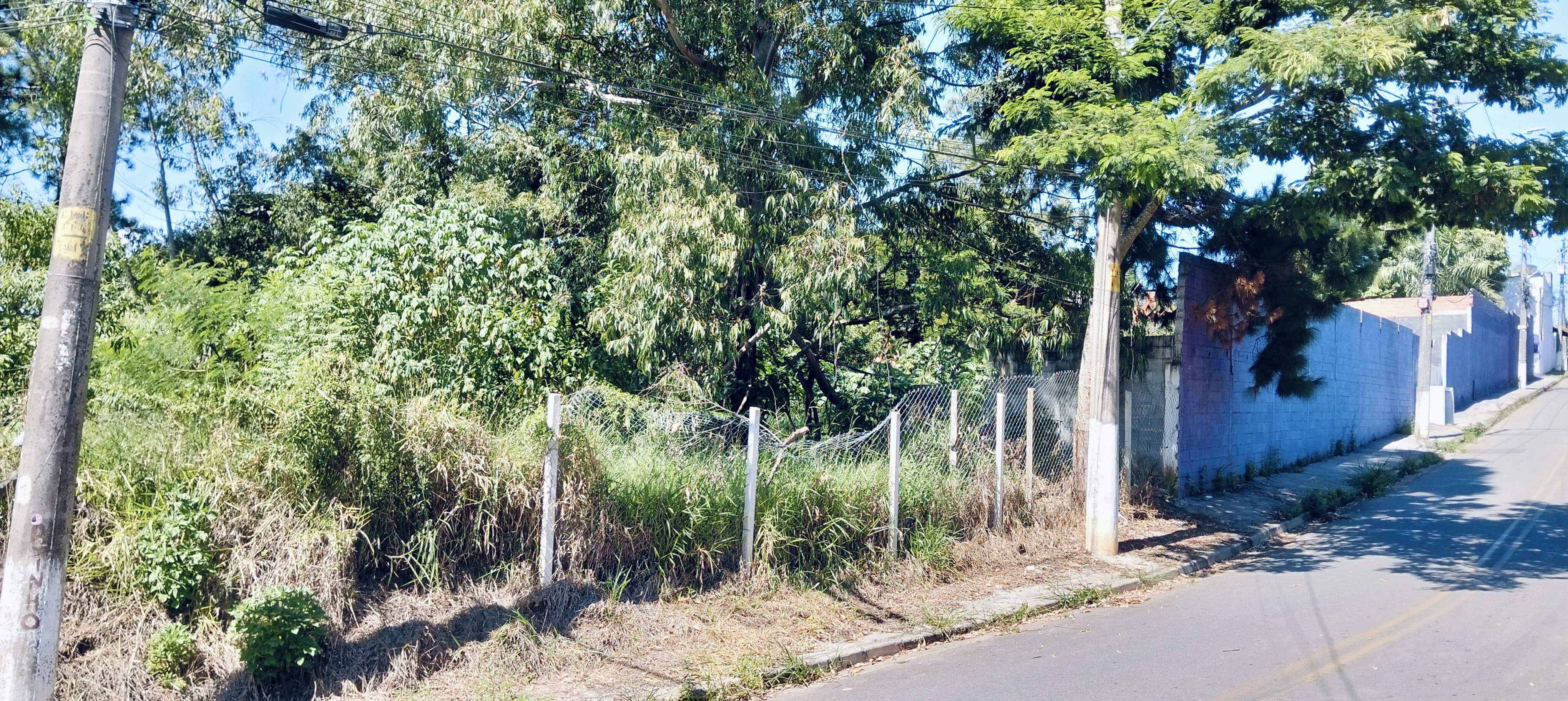 Fazenda à venda com 7 quartos, 500m² - Foto 5