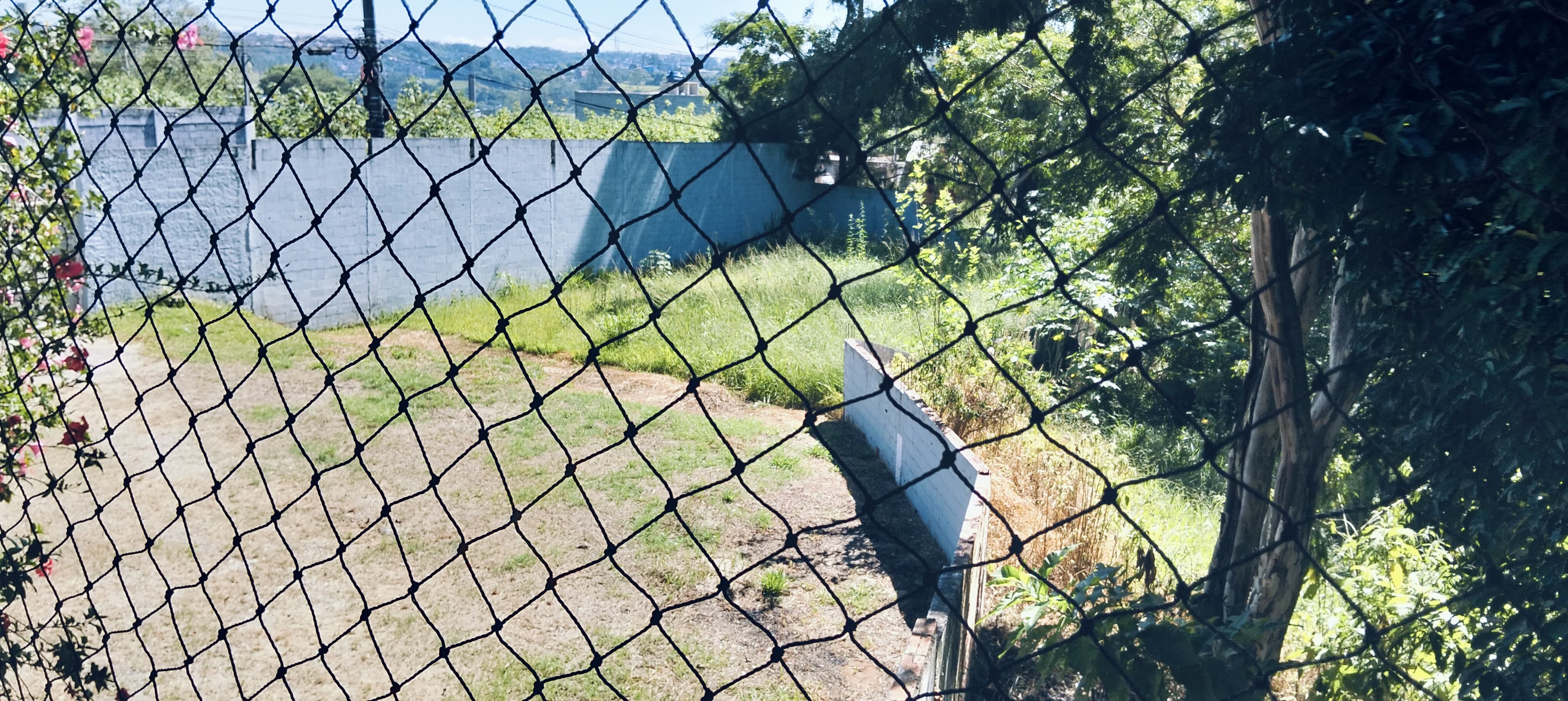 Fazenda à venda com 7 quartos, 500m² - Foto 7