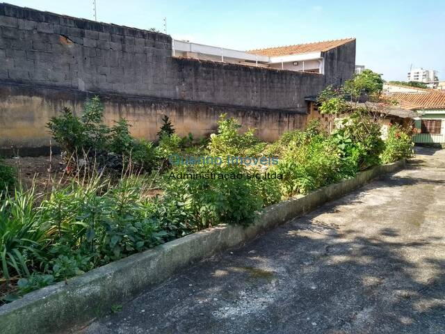 Terreno para Venda em São Paulo - 4