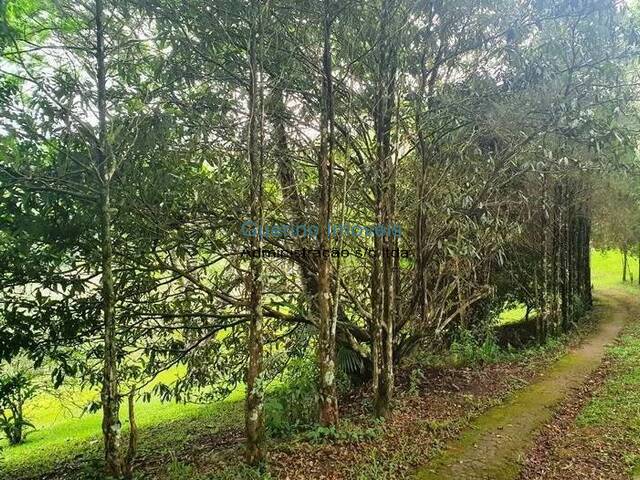 Chácara para Venda em Itapecerica da Serra - 4