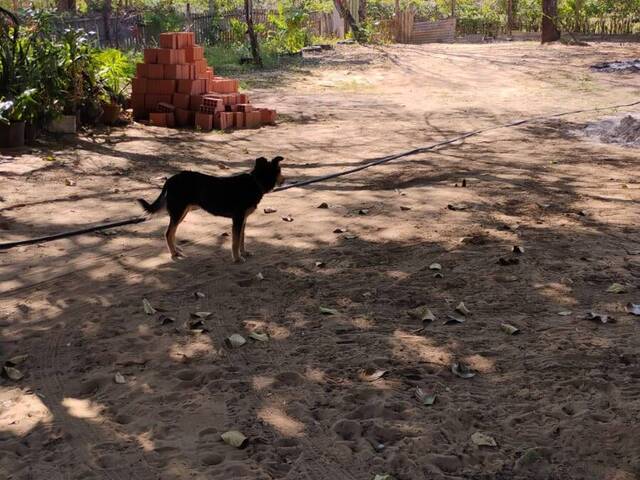 #GI0936 - Chácara para Venda em São Carlos - SP - 3