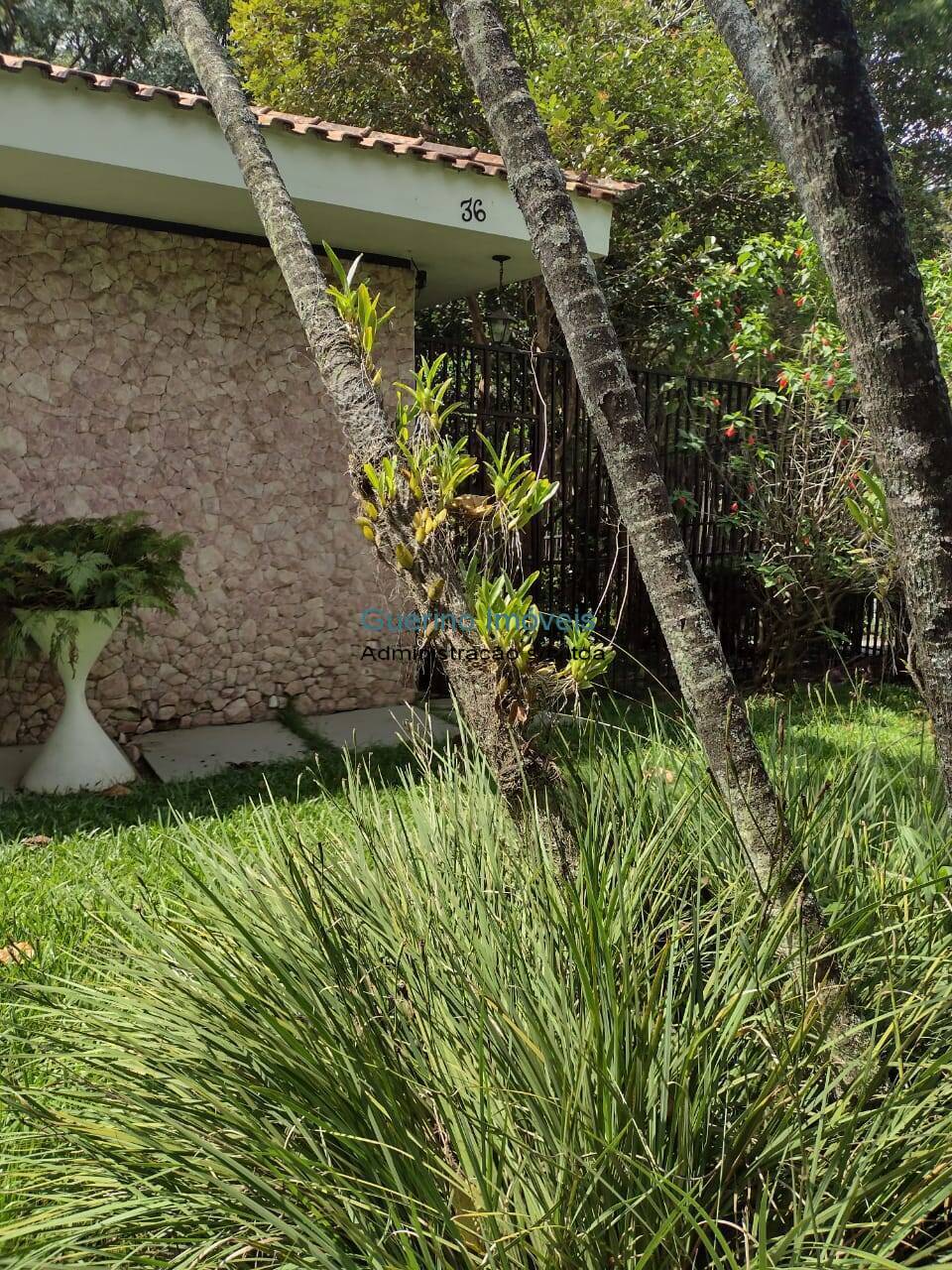 Casa, 3 quartos, 690 m² - Foto 3