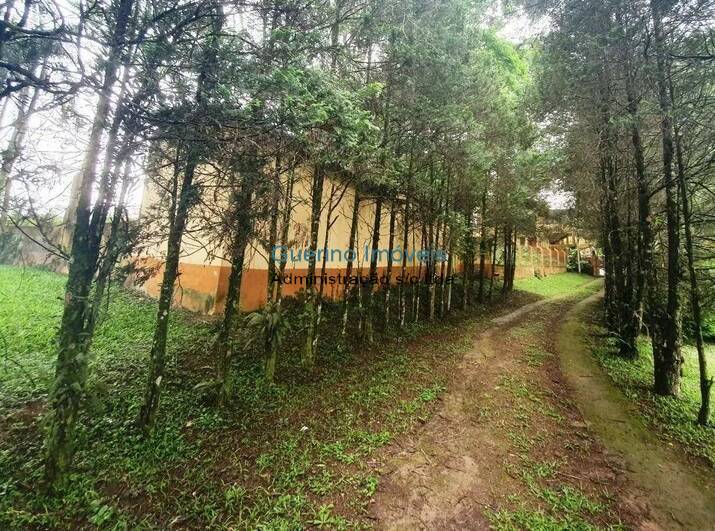 Chácara, 7 quartos, 700 m² - Foto 5