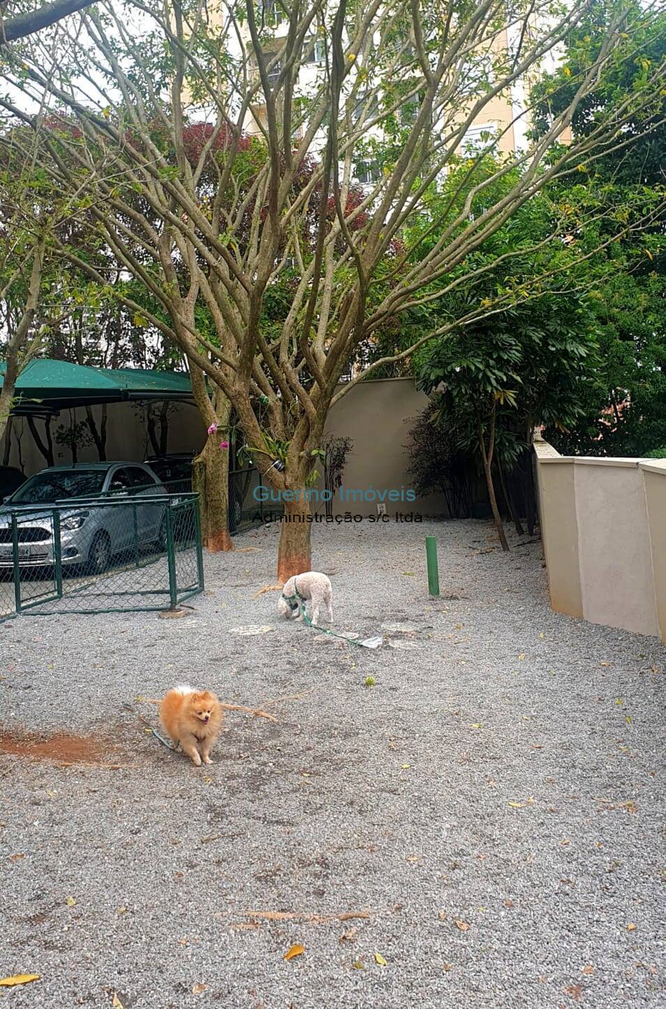 Apartamento, 3 quartos - Foto 3