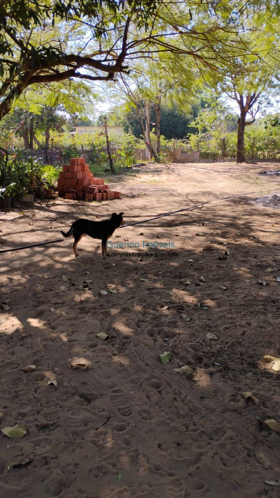 Terreno, 3000 m² - Foto 3